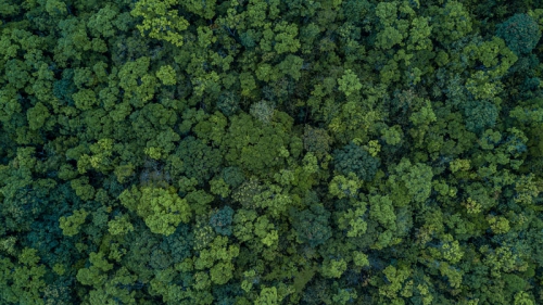 vanheektextiles green