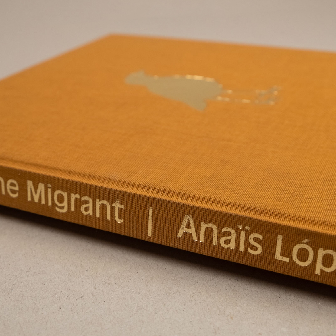 TheMigrant AnaisLopez04