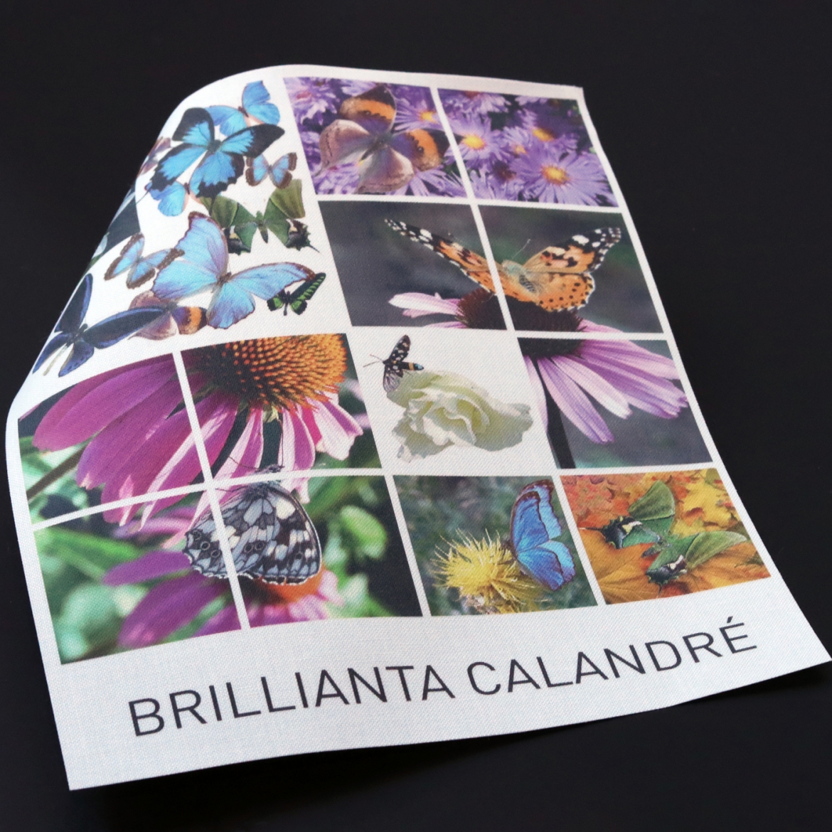 brillianta calandre web