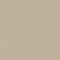 Buckram-Premium_29055-bookcloth Van Heek Textiles